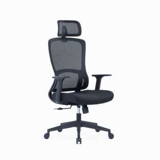 Mariana Ergonomic Mesh Chair