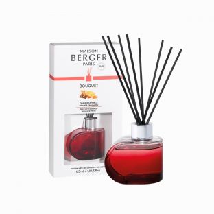 Alliance Reed Diffuser Red