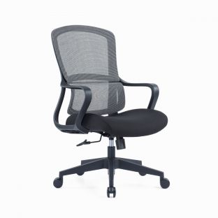 Ambani II Ergonomic Mesh Chair
