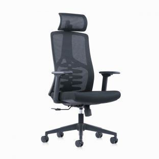 Helu Ergonomic Mesh Chair