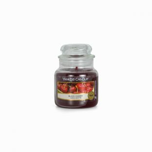 Yankee Candle Classic, Small Jar - Holiday Hearth Scented Candle
