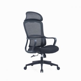 Snowden I Ergonomic Mesh Chair