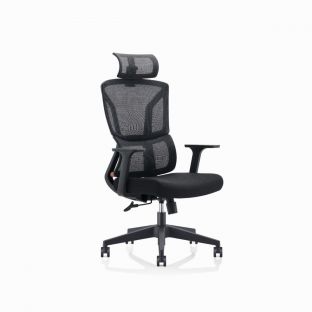 Lanier Adustable Armrest Ergonomic Mesh Chair